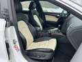 Audi A5 Sportback 3.0TDI SLINE Exterieur Quattro,AHK! Blanco - thumbnail 20