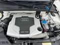 Audi A5 Sportback 3.0TDI SLINE Exterieur Quattro,AHK! Blanco - thumbnail 22