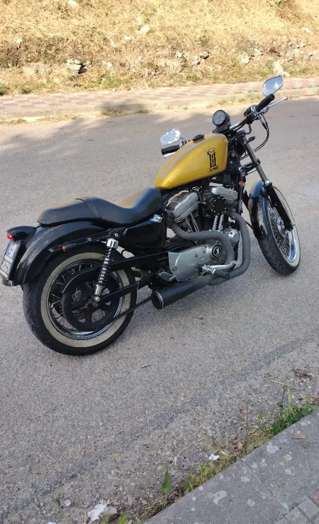 Harley-Davidson Sportster 883 standard Oro - 1