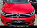 Volkswagen Caddy Comfortline BMT 1.Hand ACC Rot - thumbnail 6