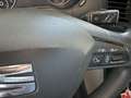SEAT Alhambra Business 2,0 TDI Anhängevorrichtung, Tempomat, ... Weiß - thumbnail 19