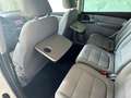 SEAT Alhambra Business 2,0 TDI Anhängevorrichtung, Tempomat, ... Weiß - thumbnail 14
