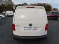Volkswagen Caddy 2,0TDIEcoProfi Kasten Klima Sitzh AHK 1.Hd Weiß - thumbnail 7