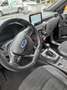 Ford Kuga 2.0 EcoBlue Hybrid ST-LINE - thumbnail 7