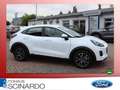 Ford Puma 1.0 EB Hybrid Titanium *Navi*LED*PDC*WiPa* Blanco - thumbnail 2