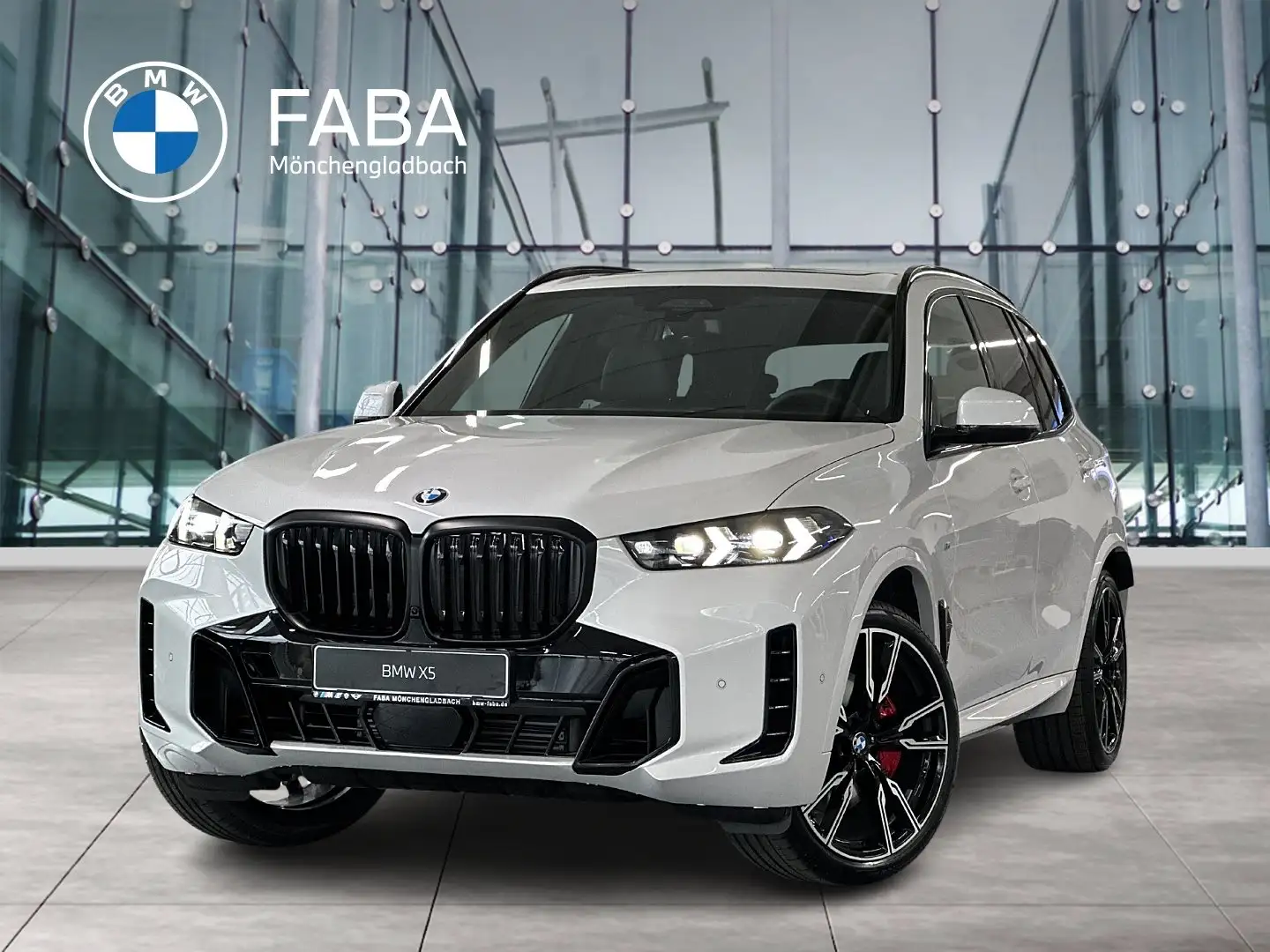 BMW X5 xDrive40d M Sport Pro HK HiFi DAB LED Weiß - 1