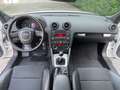 Audi A3 Sportback 2.0 tdi Ambition s-line Bianco - thumbnail 14