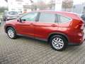 Honda CR-V 2.0i-VTEC 4WD Automatik Elegance Rojo - thumbnail 6