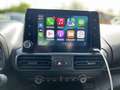 Toyota Proace City Business Fourgon Medium 1.5 100cv D-4D Inclus Came Noir - thumbnail 12