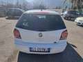 Volkswagen Polo 1.4/80CV 16V 3p.  Comfortline Weiß - thumbnail 6