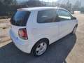 Volkswagen Polo 1.4/80CV 16V 3p.  Comfortline Weiß - thumbnail 5