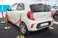 Kia Picanto Vision Beige - thumbnail 6