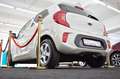 Kia Picanto Vision Beige - thumbnail 8