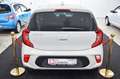 Kia Picanto Vision Beige - thumbnail 10