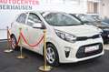 Kia Picanto Vision Beige - thumbnail 2