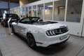 Ford Mustang GT Convertible V8 *CALIFORNIA-EDITION* White - thumbnail 4