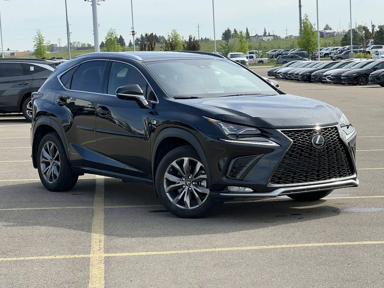Lexus NX fotografie Lexus NX