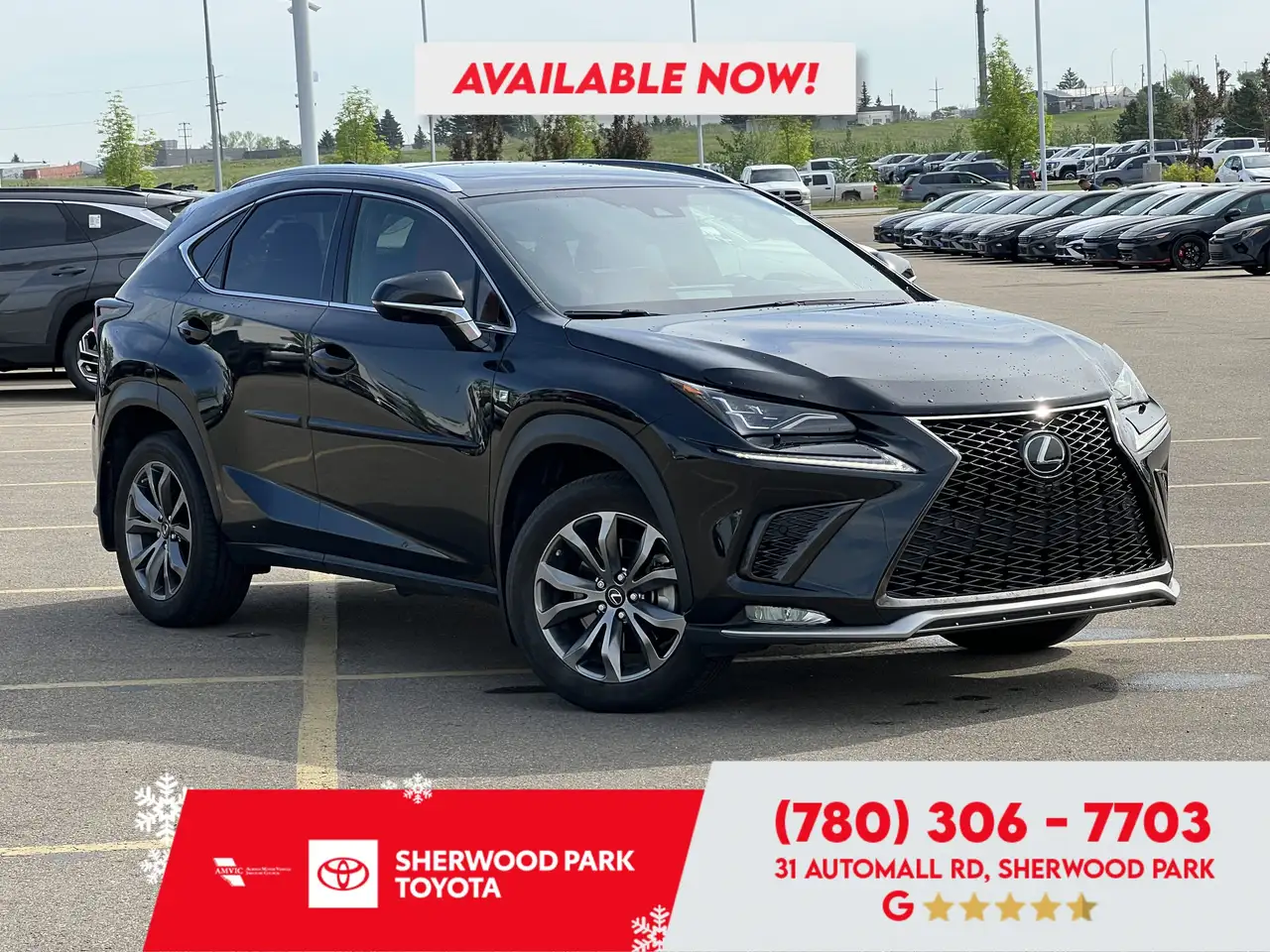 2021 Lexus NX