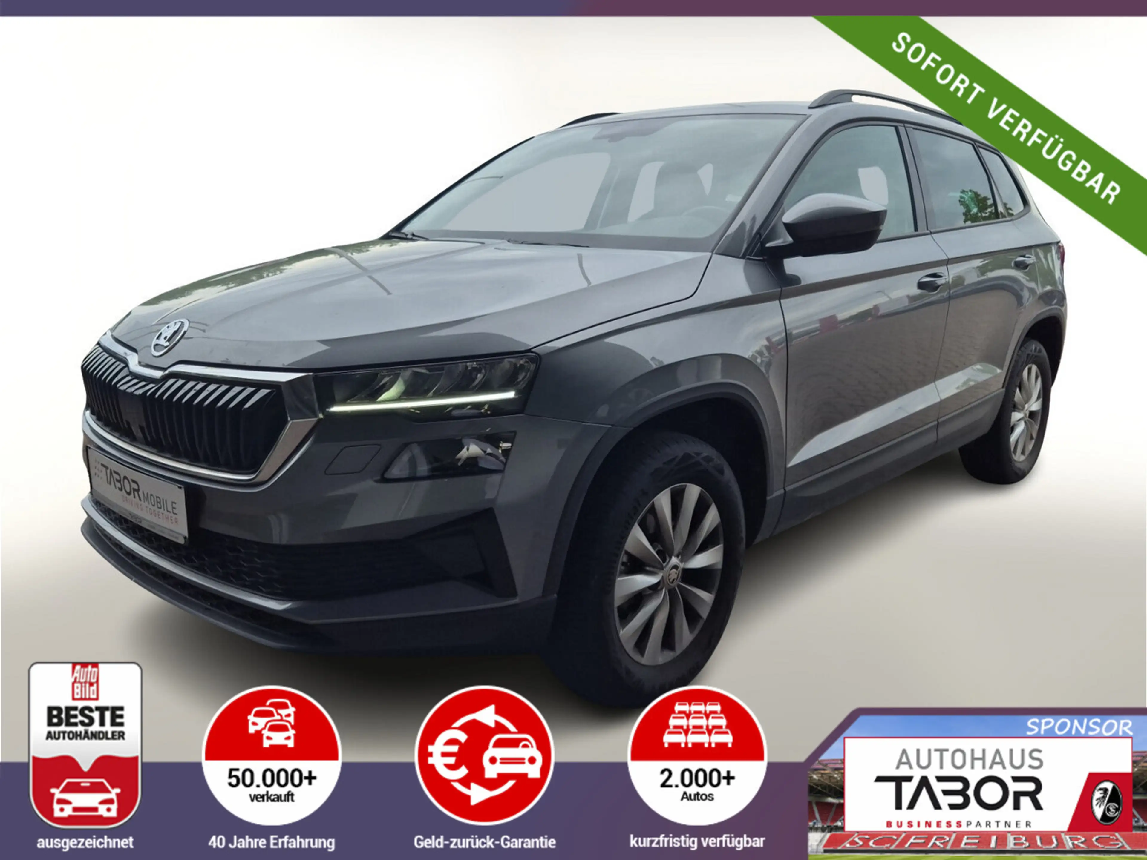 Skoda Karoq 1.0 TSI 110 Ambition LED AHK Kam WinterP