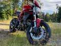 Ducati Monster 797 + Rojo - thumbnail 12