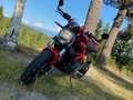 Ducati Monster 797 + Rojo - thumbnail 2