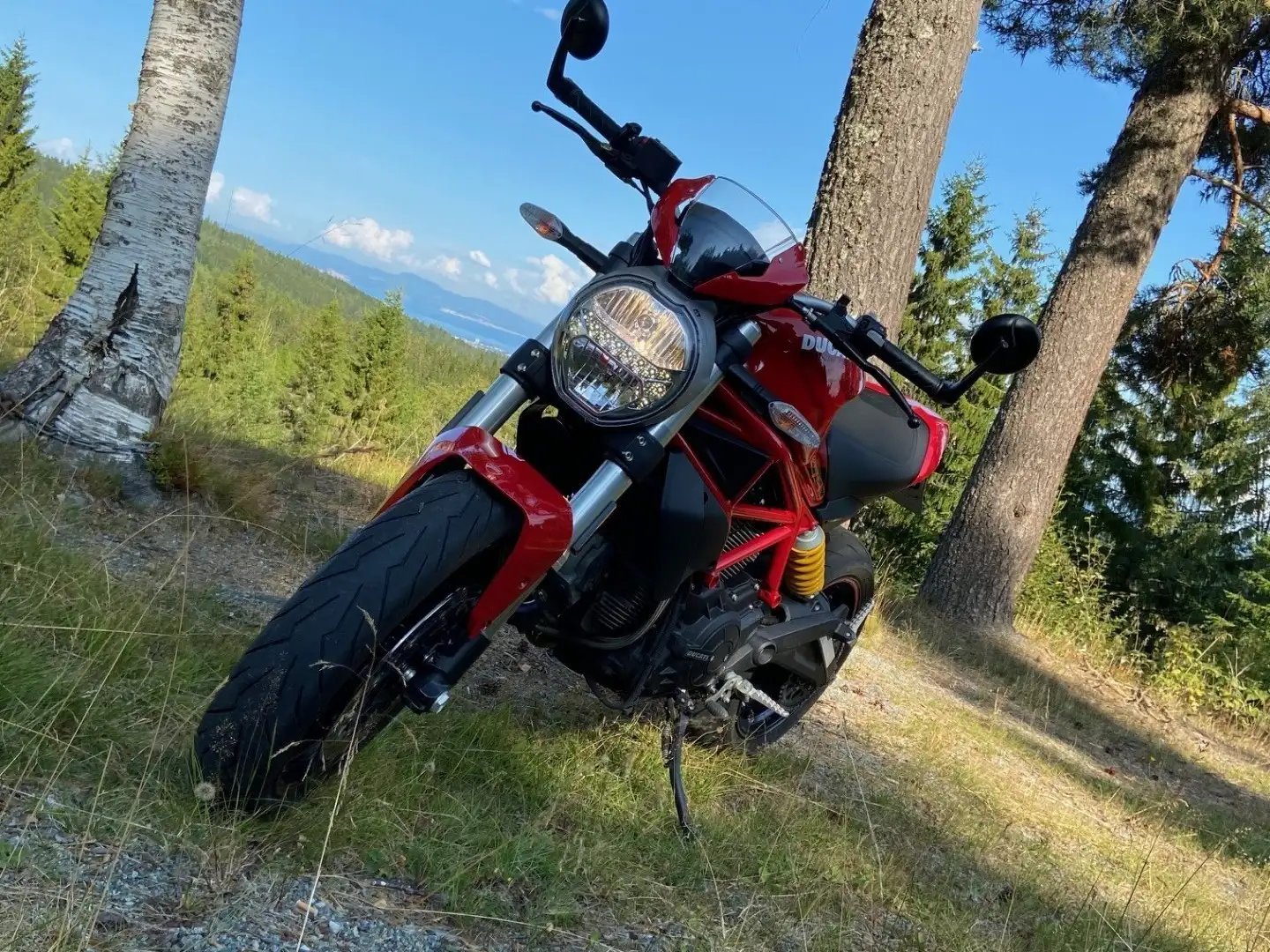 Ducati Monster 797 + Red - 2