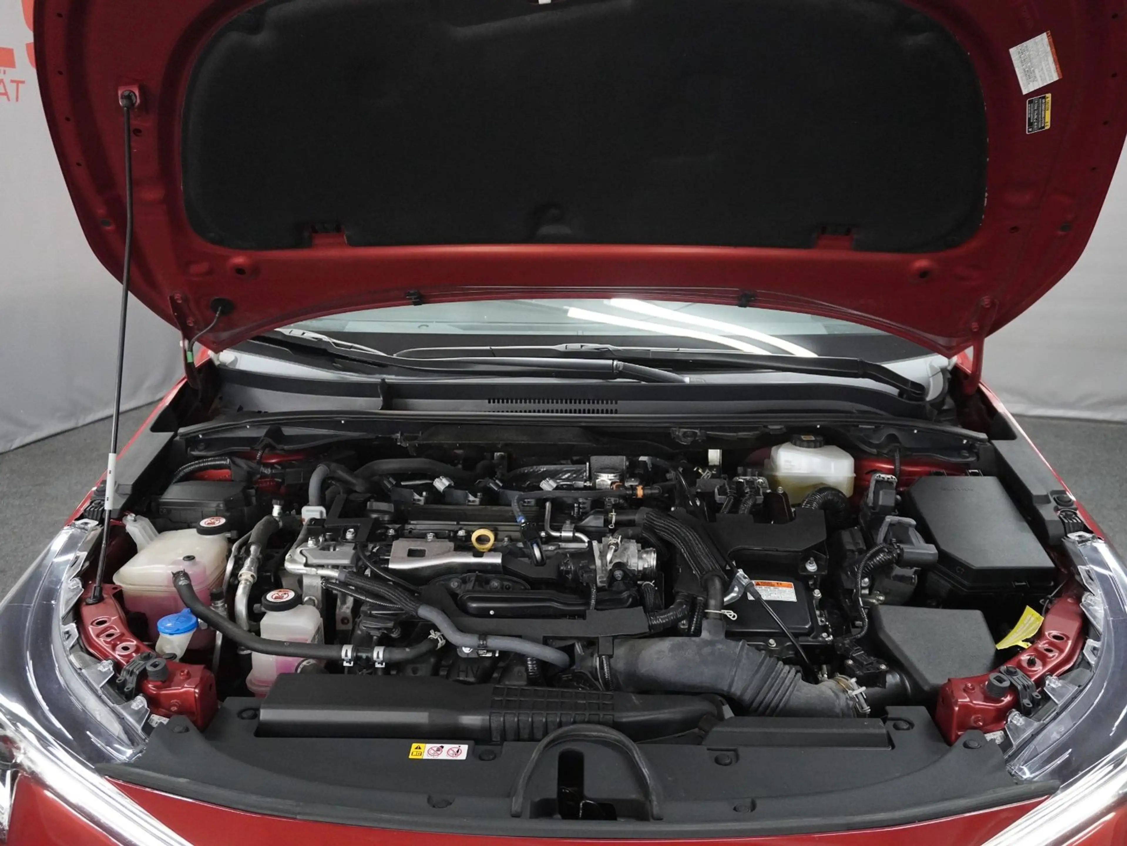 Toyota Corolla Touring Sports Hybrid  |TEAM DEUTSCHLAND — photo 5