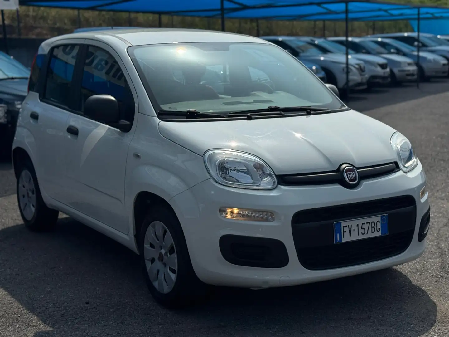 Fiat Panda 1.2 Lounge s White - 2