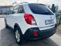 Opel Antara Design Edition 4x4 / 1. Hand Weiß - thumbnail 4
