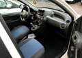 Fiat Panda 1.2 8V 69CH DYNAMIC EURO5 Blanc - thumbnail 3