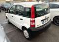 Fiat Panda 1.2 8V 69CH DYNAMIC EURO5 Blanc - thumbnail 4