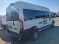 Fiat Ducato Maxi 120 verglast  L4/Liftanlage Weiß - thumbnail 2