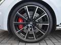 SEAT Leon 2.0 TSI CUPRA 300 Blanc - thumbnail 9