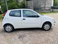 Fiat Punto 3p 1.2 Active Gpl - thumbnail 3