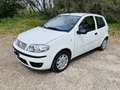 Fiat Punto 3p 1.2 Active Gpl - thumbnail 5