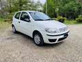 Fiat Punto 3p 1.2 Active Gpl - thumbnail 2