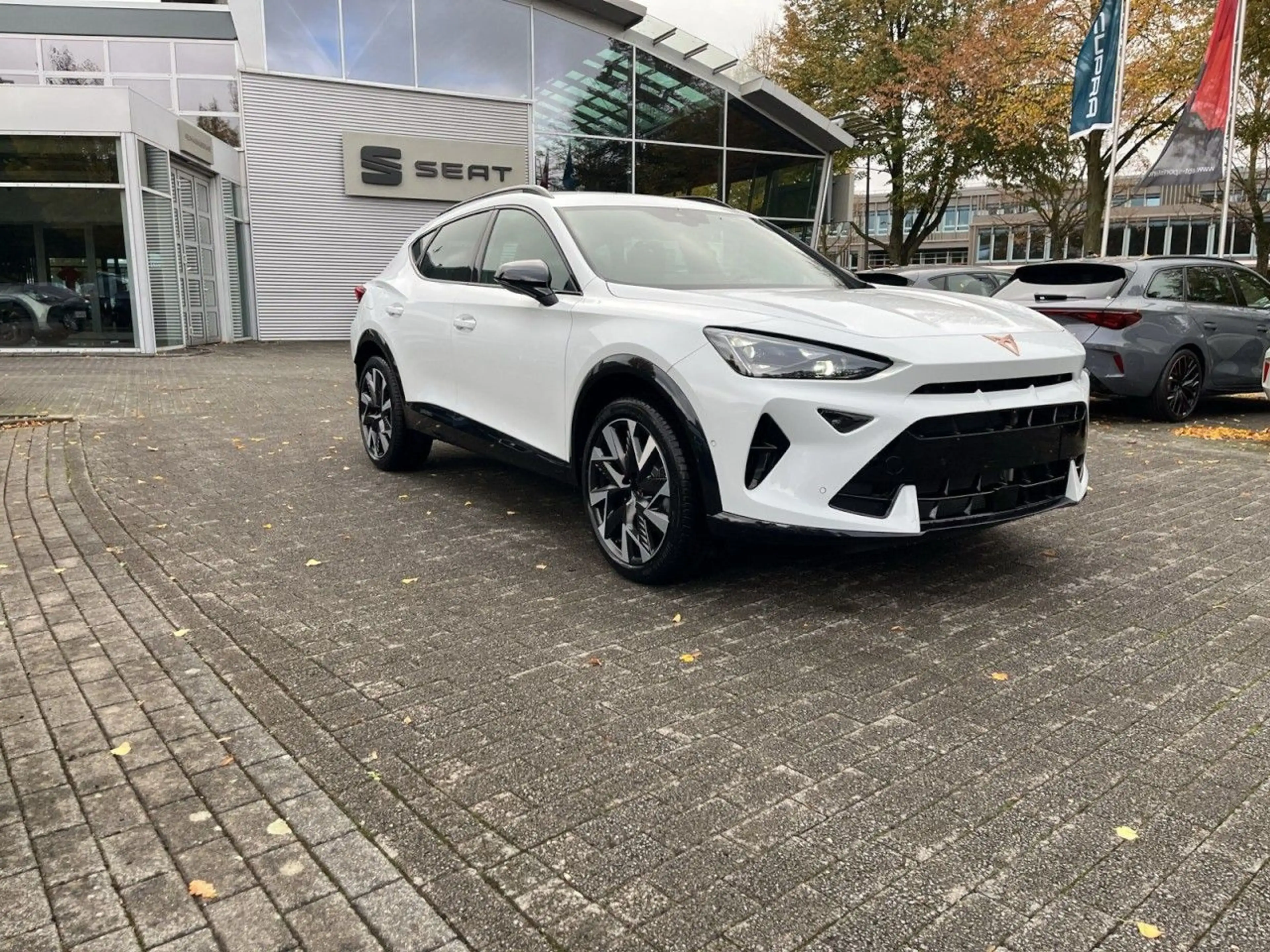 CUPRA Formentor 2.0 TSI 4Drive W DCC|360°|AHK|Matrix — photo 5