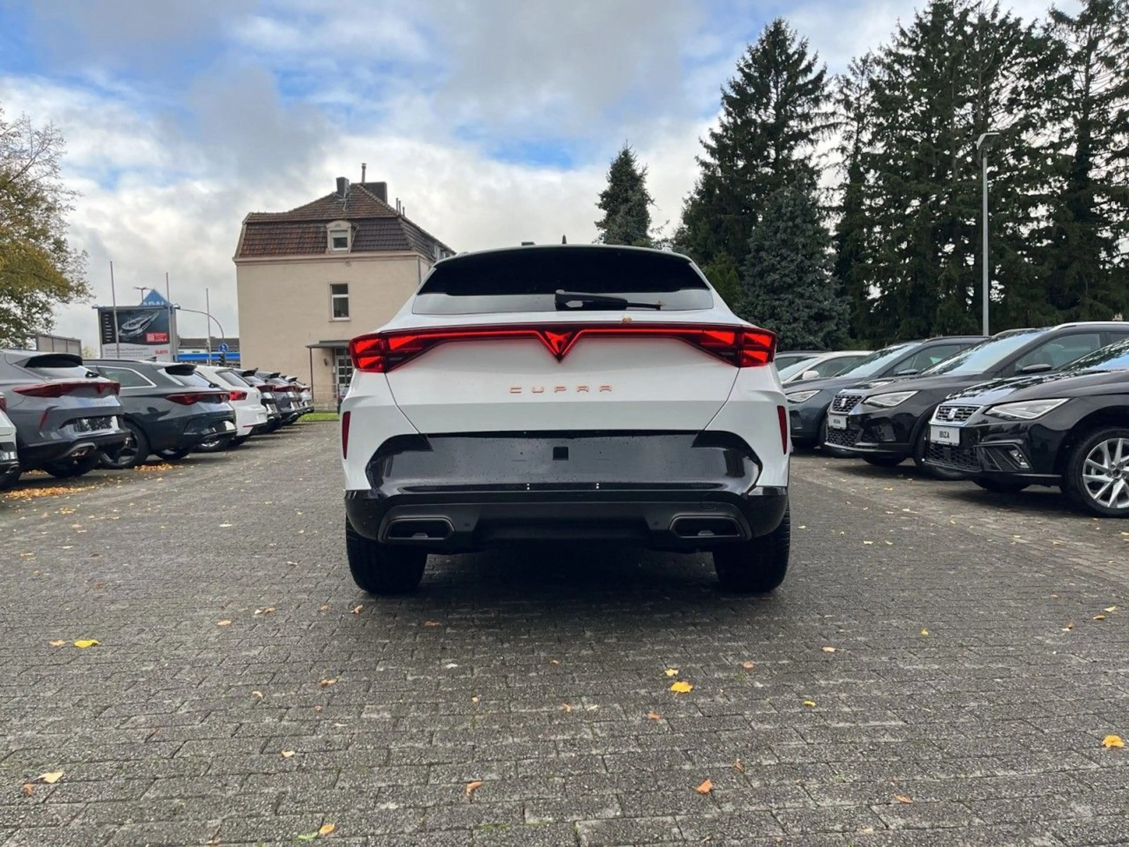 CUPRA Formentor 2.0 TSI 4Drive W DCC|360°|AHK|Matrix — photo 4