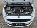 Ford Grand C-Max 1.0 EcoBoost Start-Stopp-System COOL&CONNECT Bianco - thumbnail 7