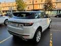 Land Rover Range Rover Evoque Range Rover Evoque 5p 2.0 D Dynamic 150cv my18 Bianco - thumbnail 5