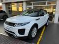 Land Rover Range Rover Evoque Range Rover Evoque 5p 2.0 D Dynamic 150cv my18 Bianco - thumbnail 6