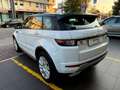 Land Rover Range Rover Evoque Range Rover Evoque 5p 2.0 D Dynamic 150cv my18 Bianco - thumbnail 4
