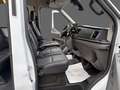 Ford Transit 330 L3 Trend 9-Sitzer ACC Apple Totwinkel Standh. Wit - thumbnail 8