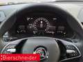 Skoda Kamiq 1.0 TSI DSG Selection LED RFK PDC Schwarz - thumbnail 14