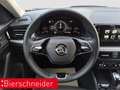 Skoda Kamiq 1.0 TSI DSG Selection LED RFK PDC Schwarz - thumbnail 13