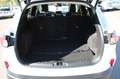 Ford Kuga Plug-In Hybrid Titanium X/1 HAND/KAM/PANO/ Weiß - thumbnail 18