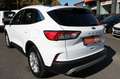 Ford Kuga Plug-In Hybrid Titanium X/1 HAND/KAM/PANO/ Weiß - thumbnail 6