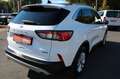 Ford Kuga Plug-In Hybrid Titanium X/1 HAND/KAM/PANO/ Weiß - thumbnail 4