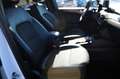 Ford Kuga Plug-In Hybrid Titanium X/1 HAND/KAM/PANO/ Weiß - thumbnail 20