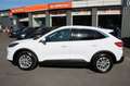 Ford Kuga Plug-In Hybrid Titanium X/1 HAND/KAM/PANO/ Weiß - thumbnail 7